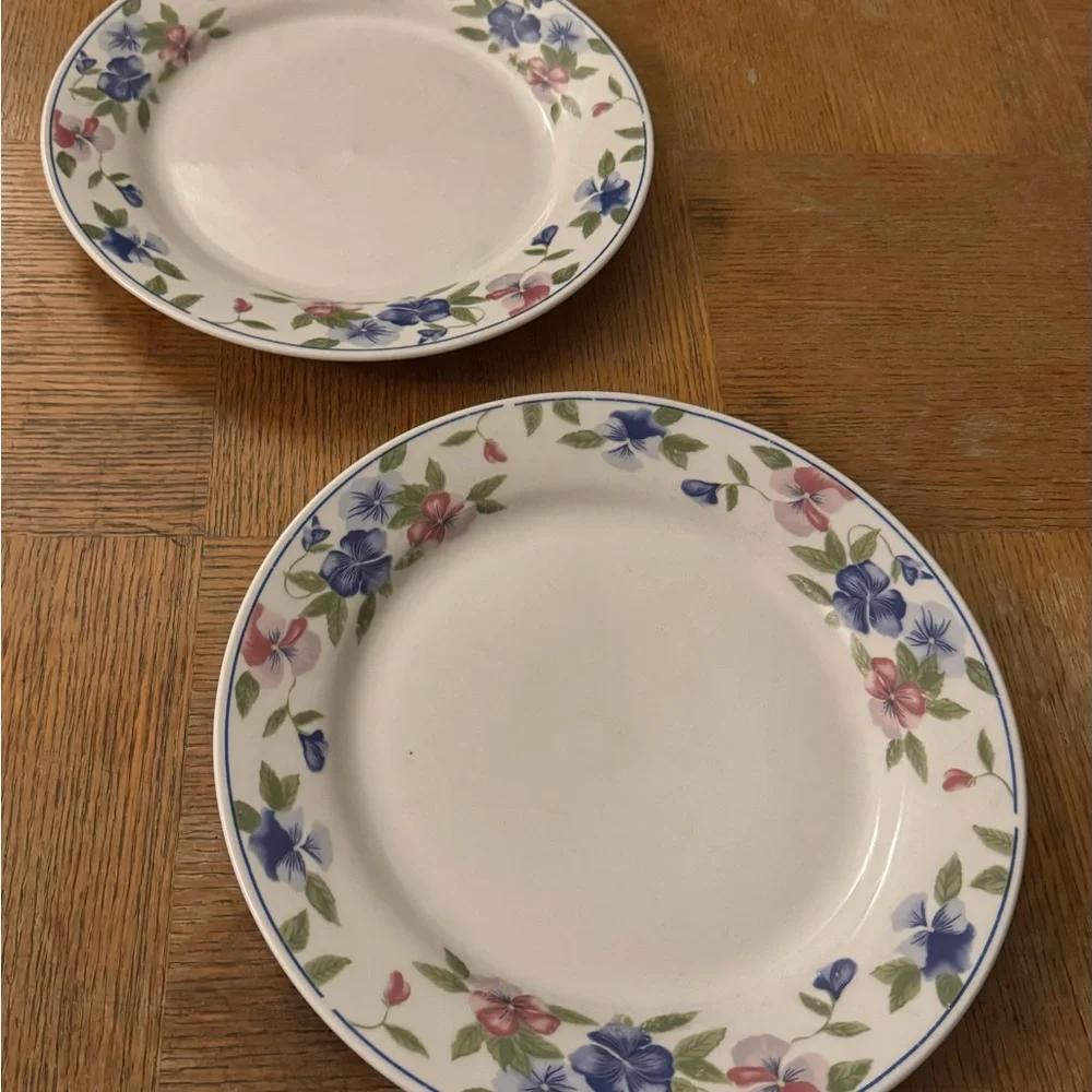Set of 2 Majesticware by Oneida Freesia floral stoneware dinner plates, 11”